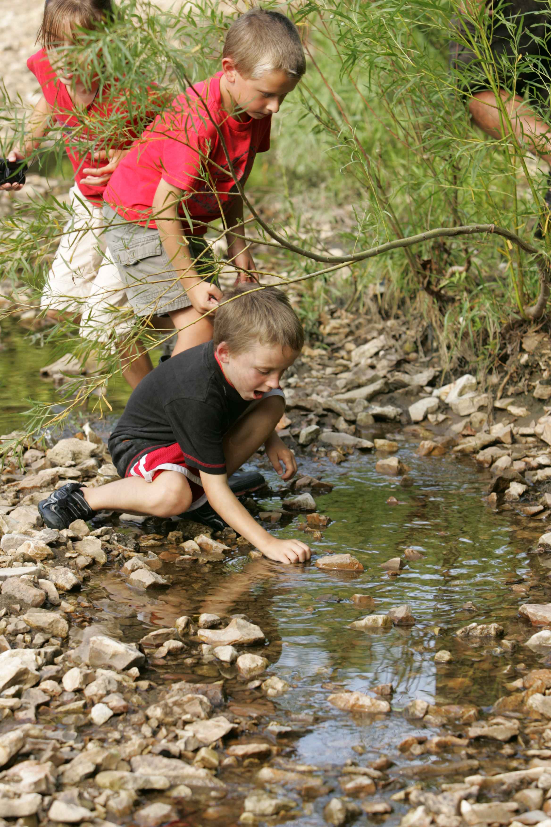 Activity image placeholder